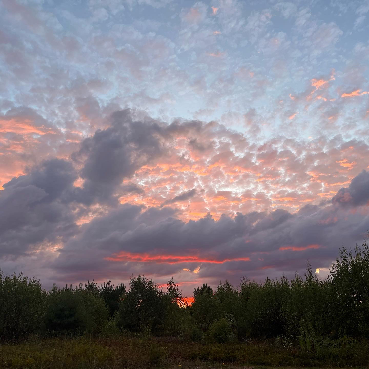 🌸MorningGlory🌸 OnlyFans header