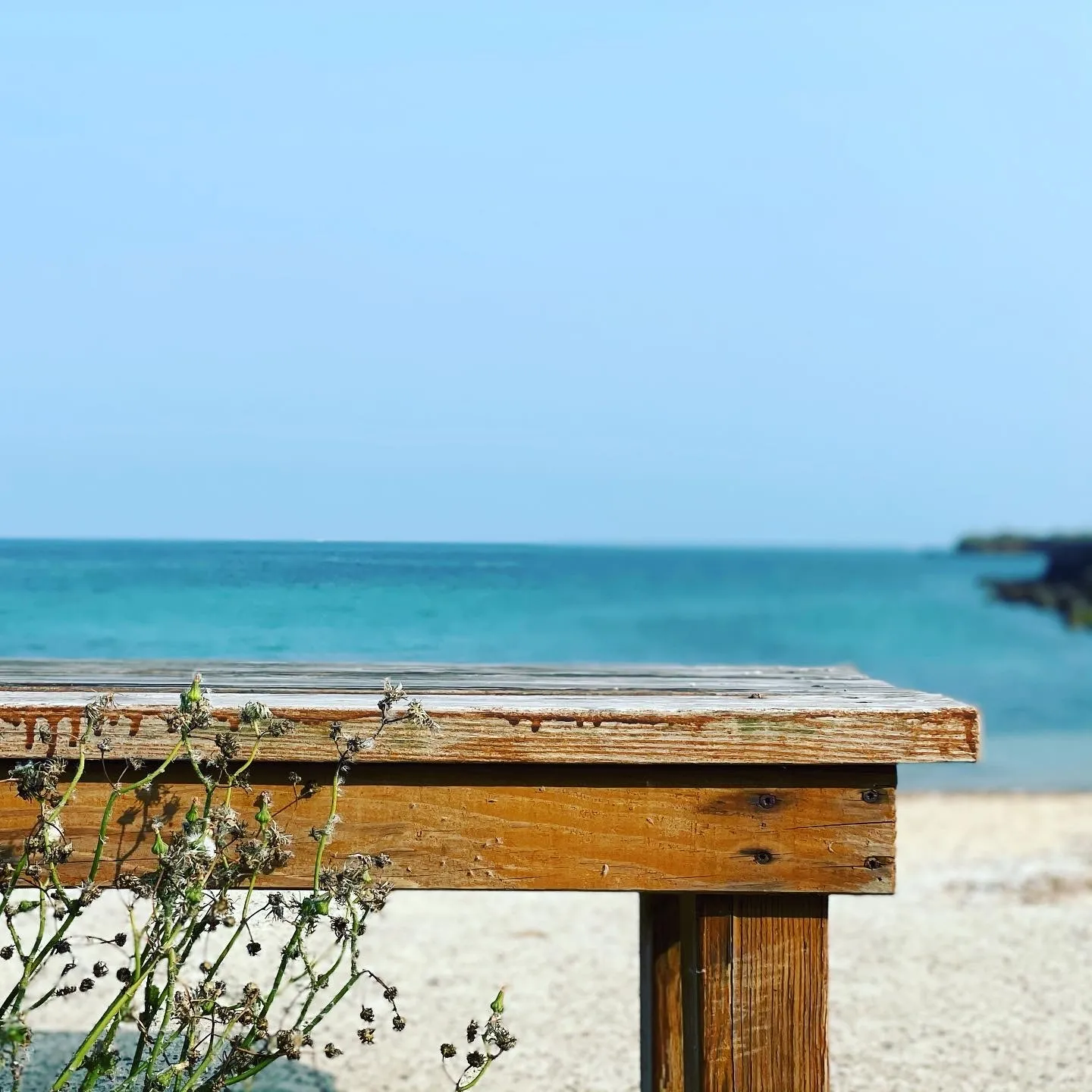 何麥枒的私密寫真 OnlyFans header