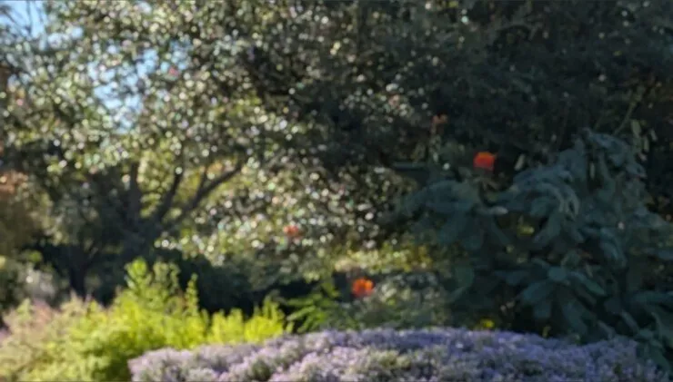 Mal Malloy OnlyFans header