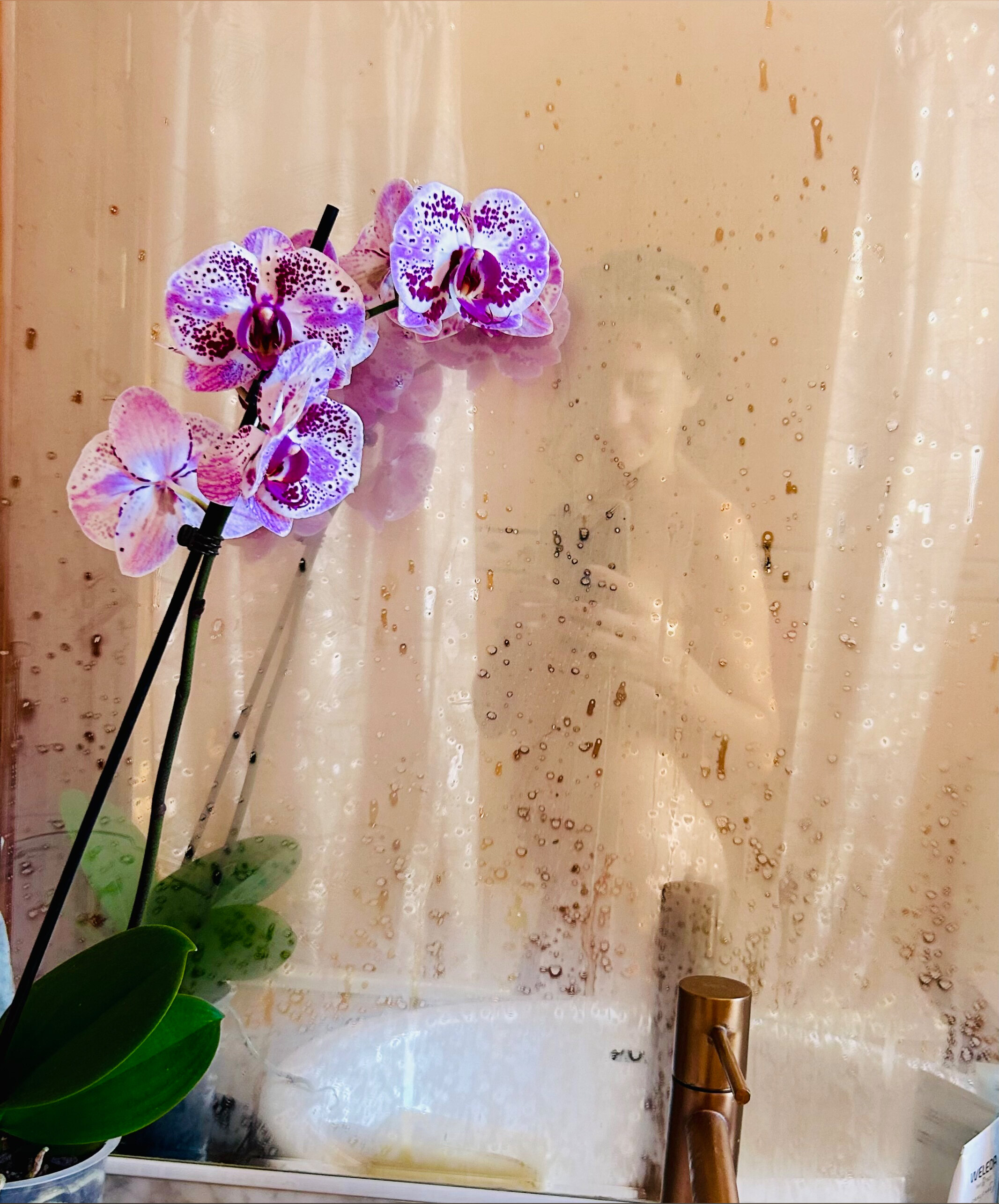 mamagarciavlog OnlyFans