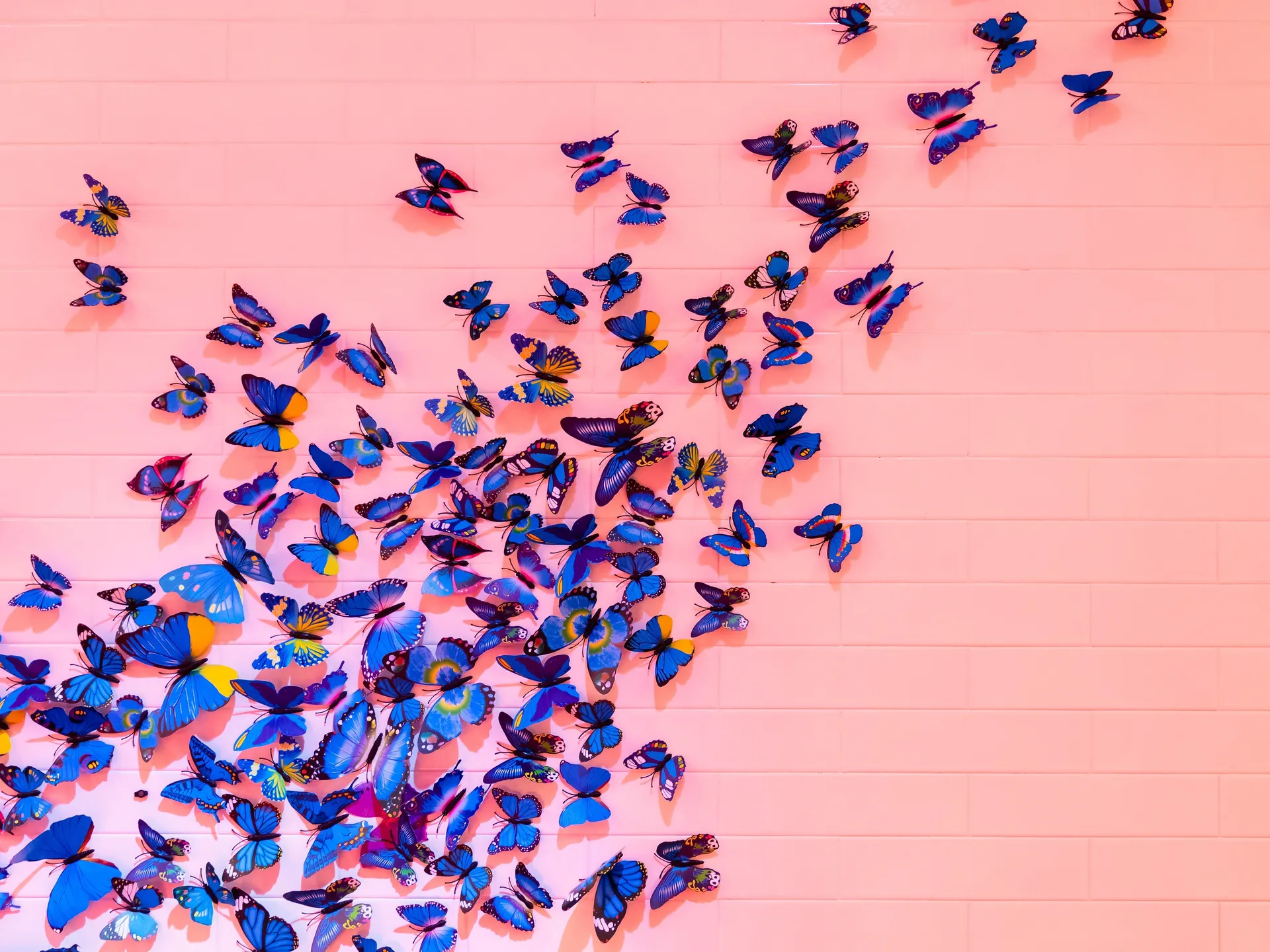 MaryButterfly OnlyFans header