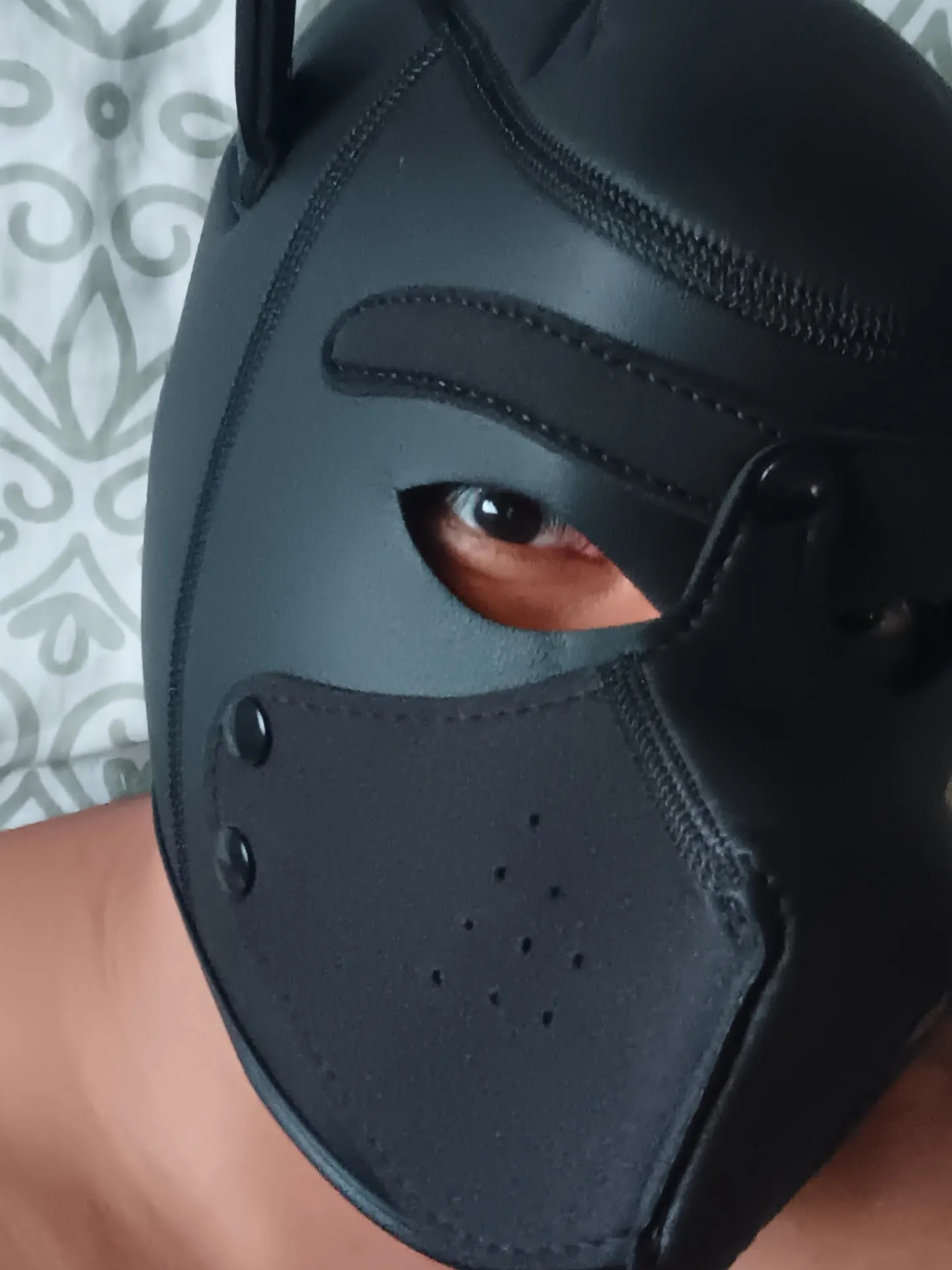 Checo OnlyFans profile picture