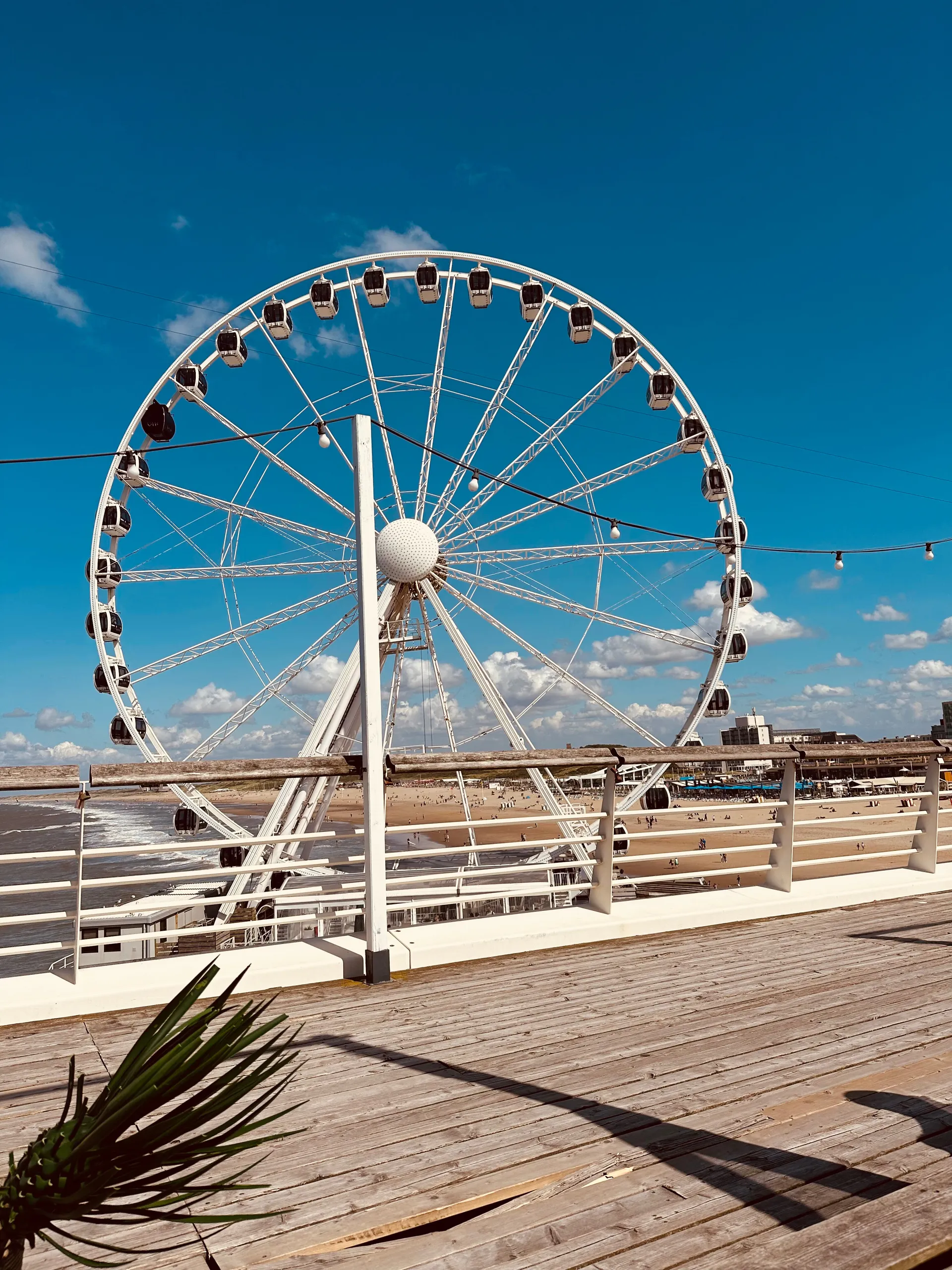 MAXDOGGY OnlyFans header