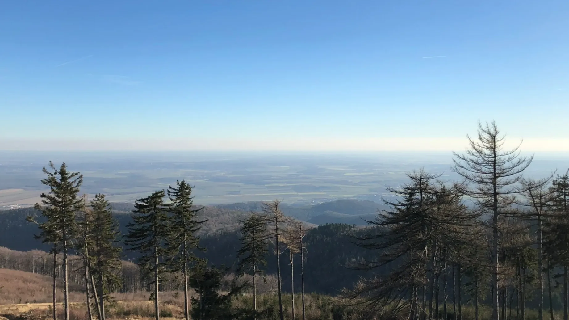 zolee OnlyFans header