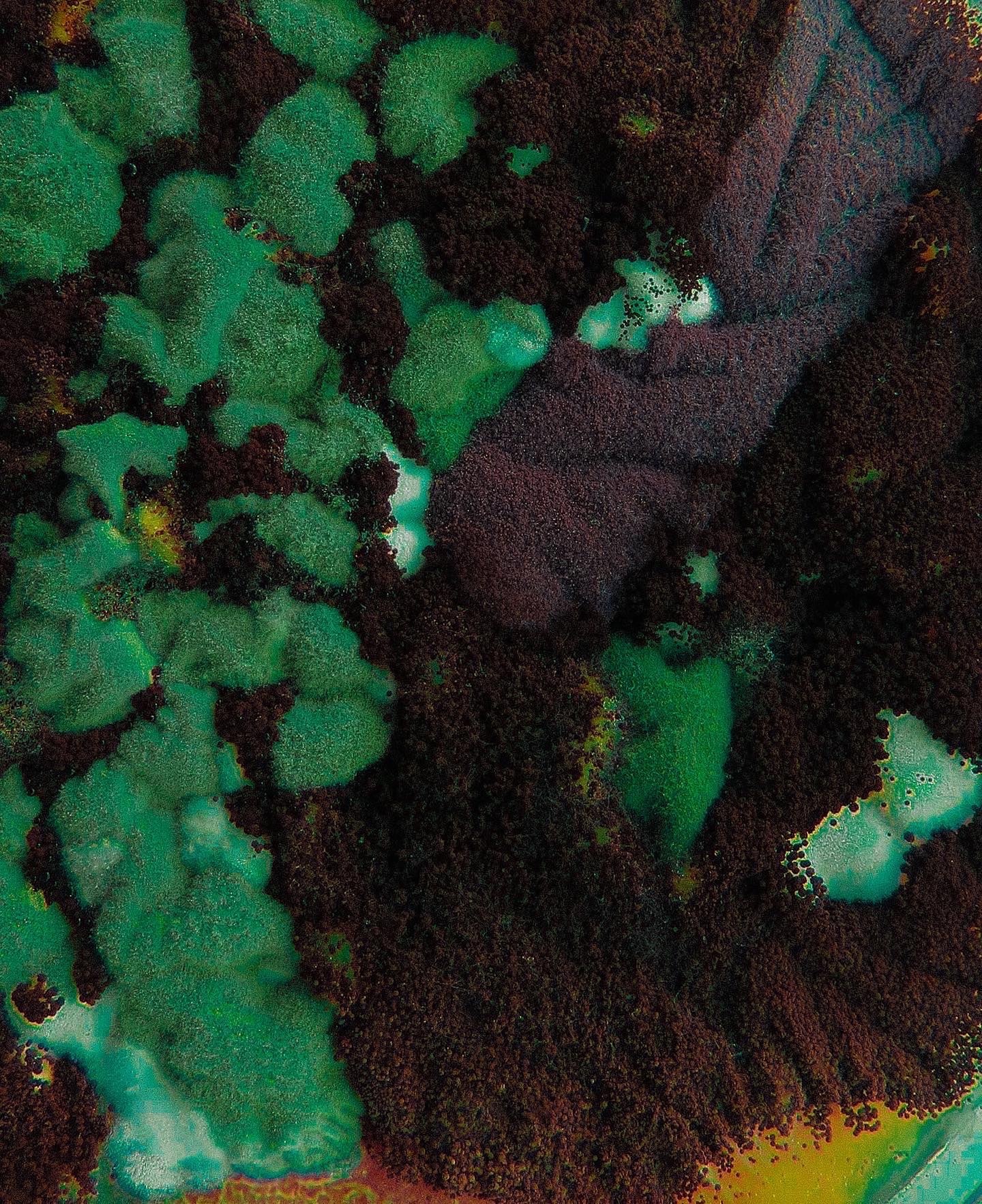 ʍìժօɾì🌱 OnlyFans header