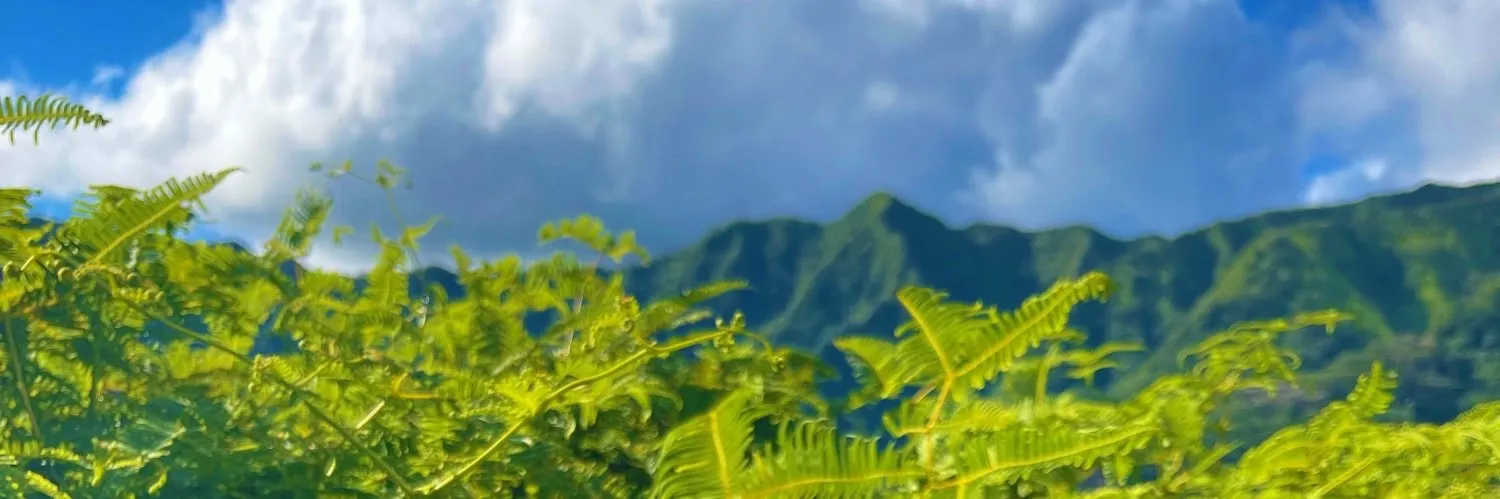 Mila Loves OnlyFans header