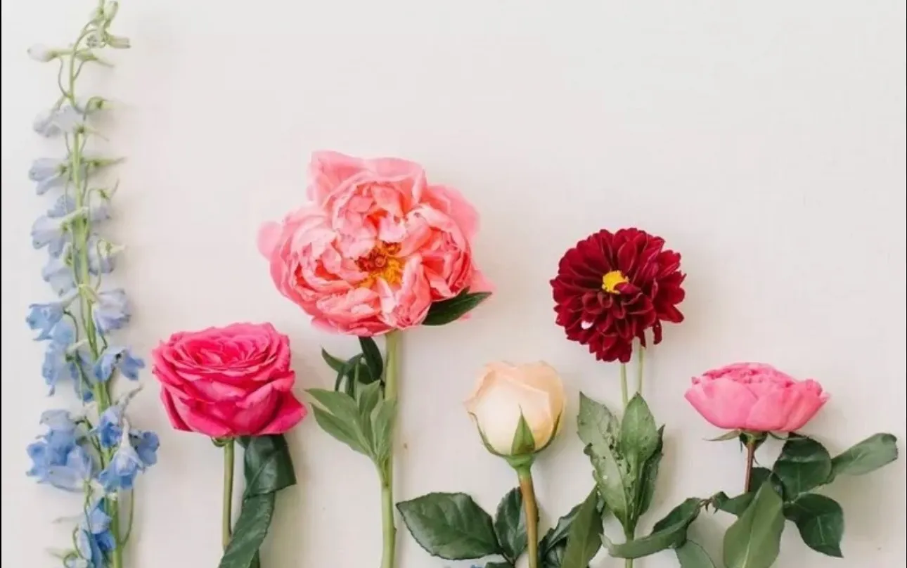 👑 Milani Asian Queen 👑 OnlyFans header