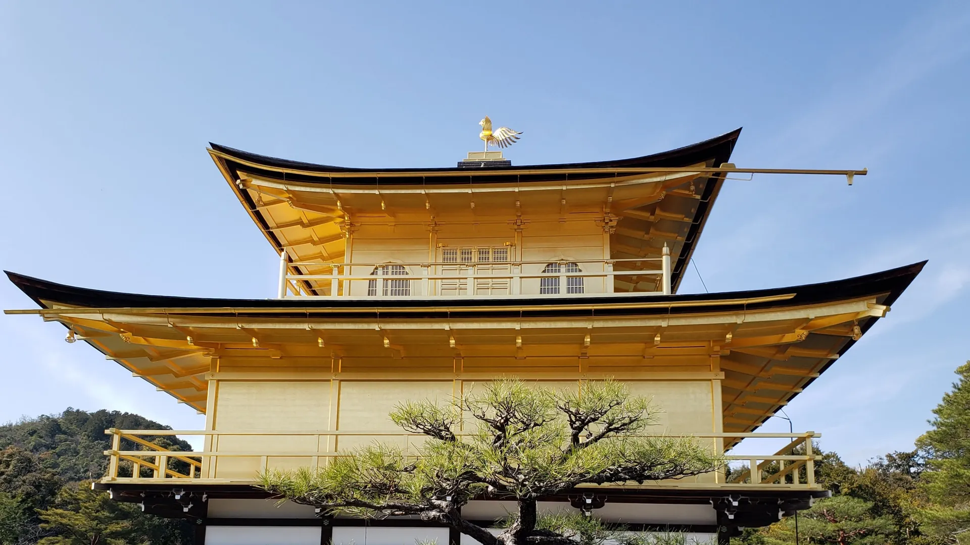 milky-cat OnlyFans header