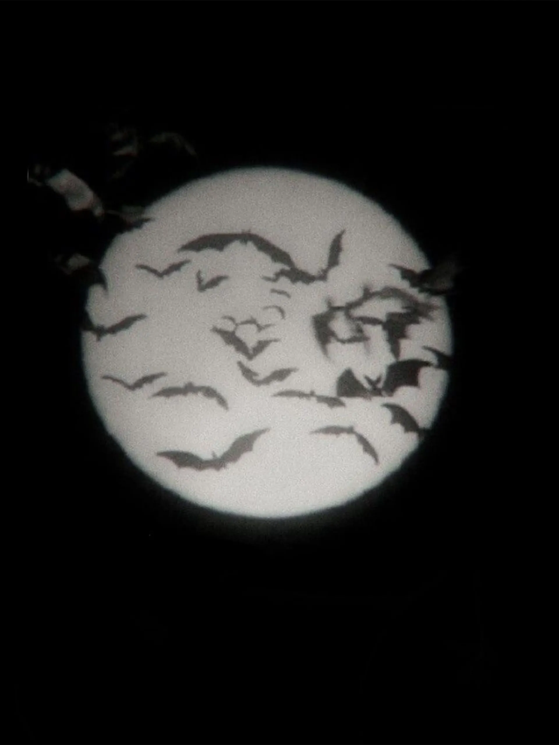 вιgтιтту ємσ αѕιαη gƒ🖤⋆˙⟡ OnlyFans header