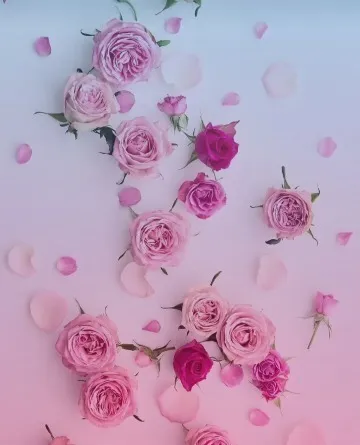 Minkaa Petals OnlyFans header