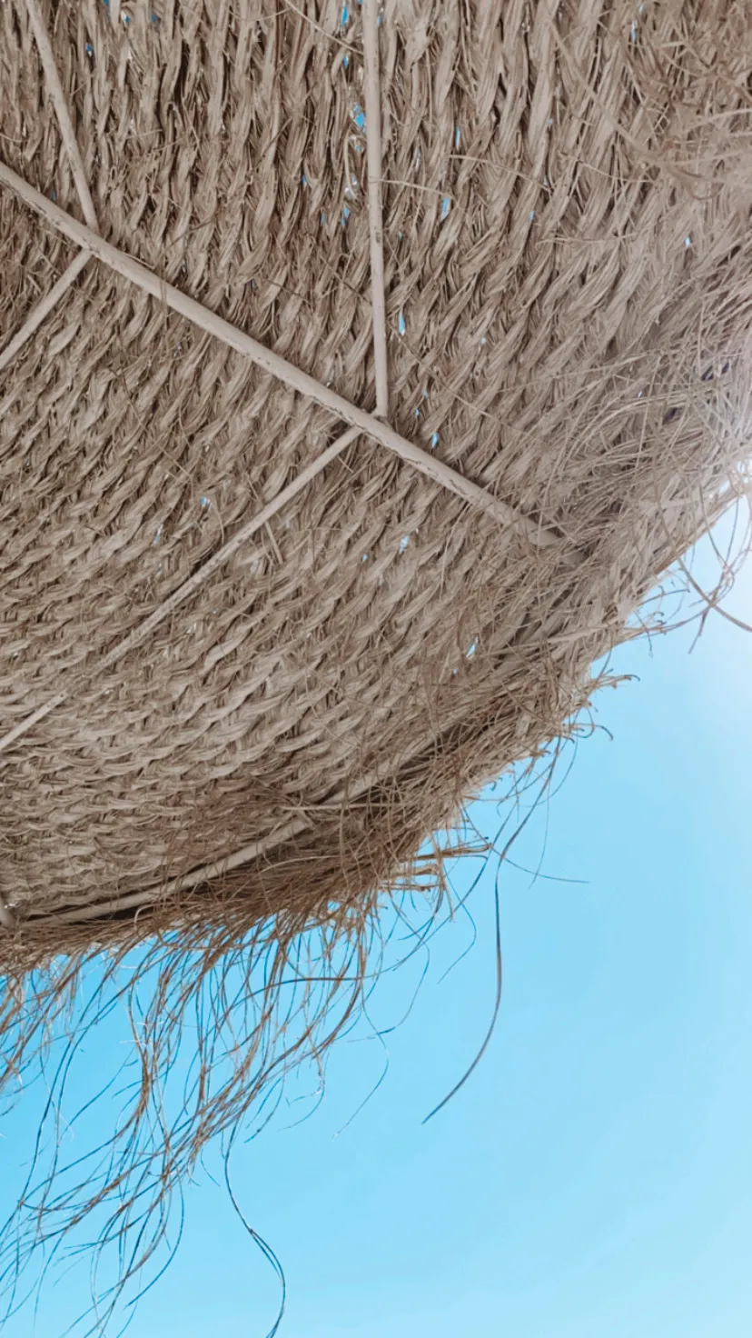 Anastasia OnlyFans header