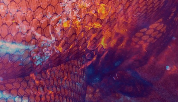 Mistress Kitty 👑 Empire of Obedience OnlyFans