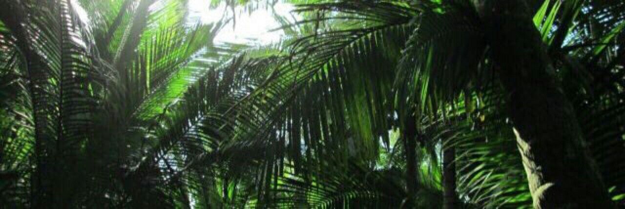 Mistress Kitty 👑 Empire of Obedience OnlyFans header