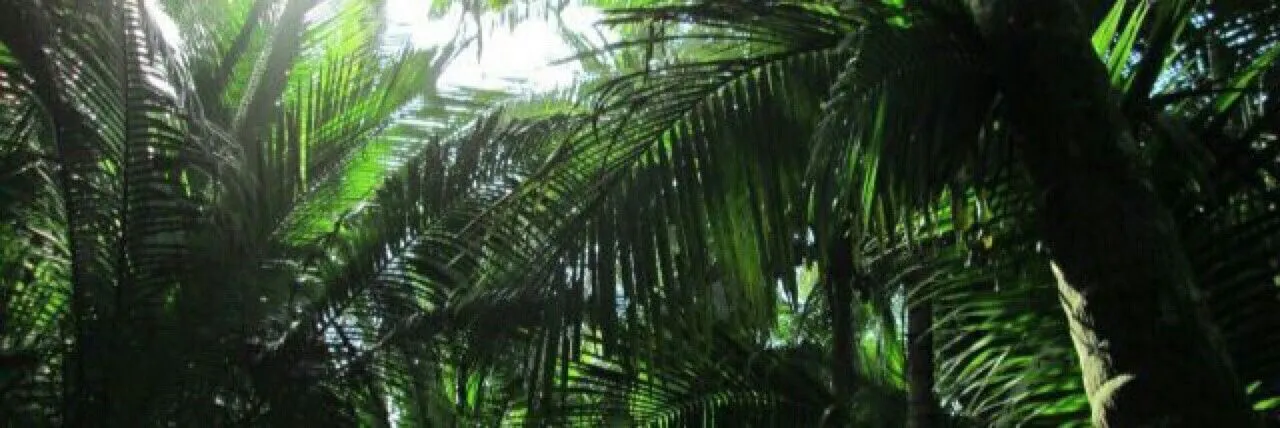 Mistress Kitty 👑 Empire of Obedience OnlyFans header