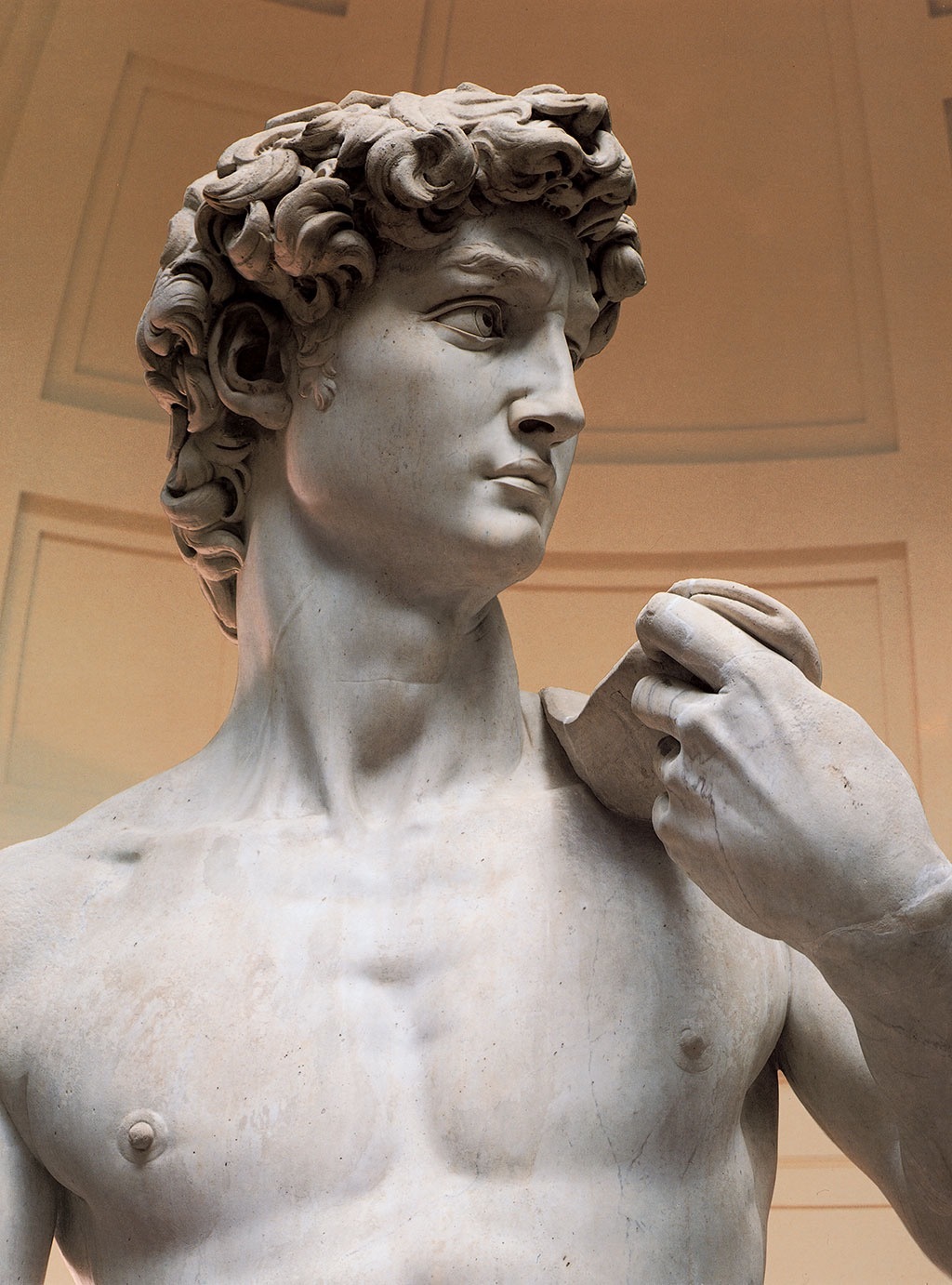 MITCHIEL BRAVO OnlyFans header