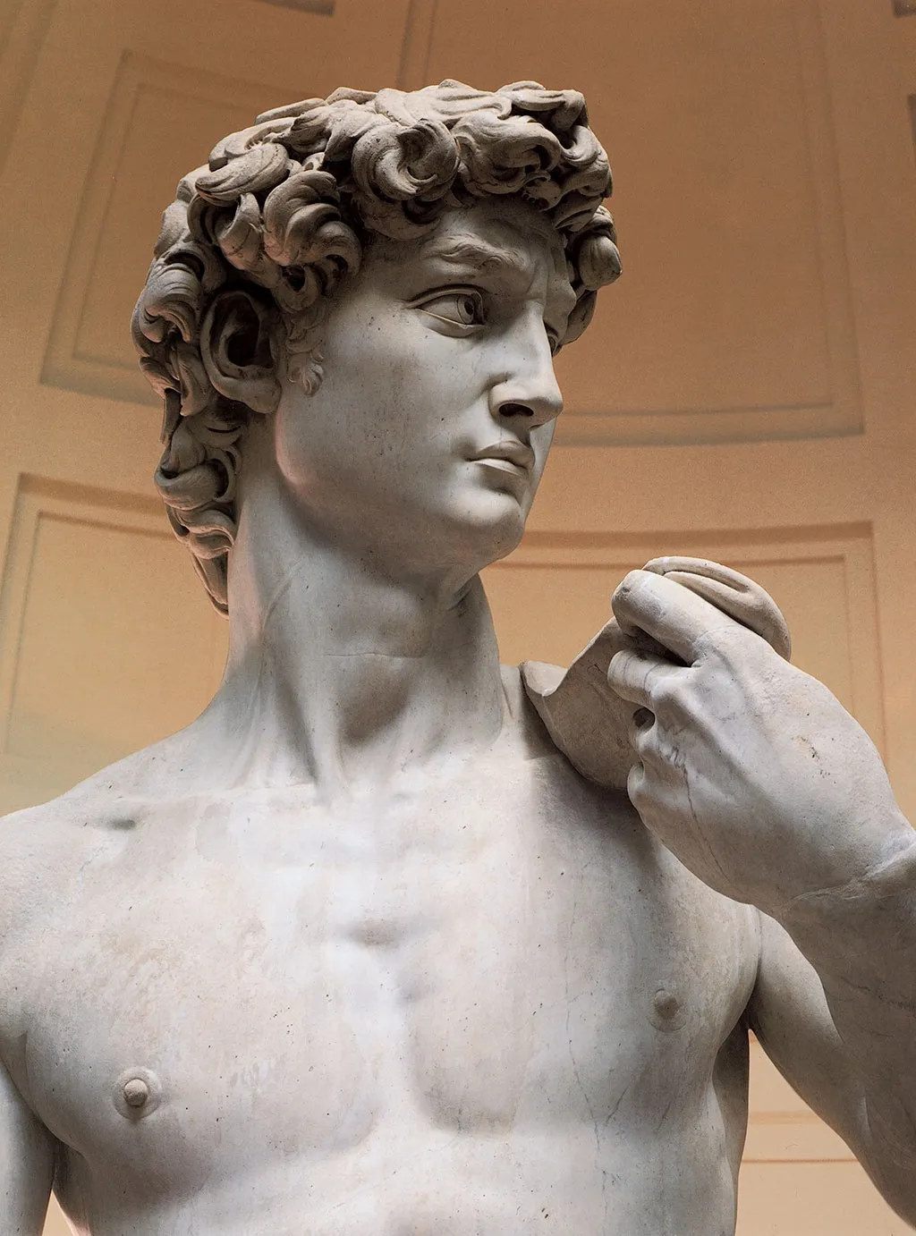 MITCHIEL BRAVO OnlyFans header