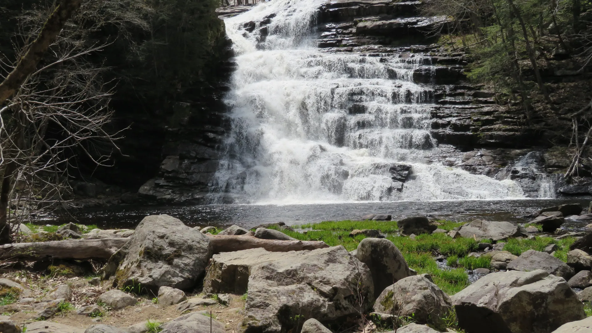 Modernnakedguy OnlyFans header