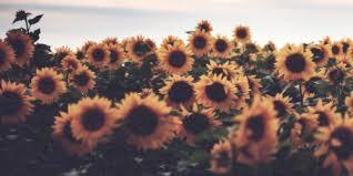 Mommiemilli OnlyFans header