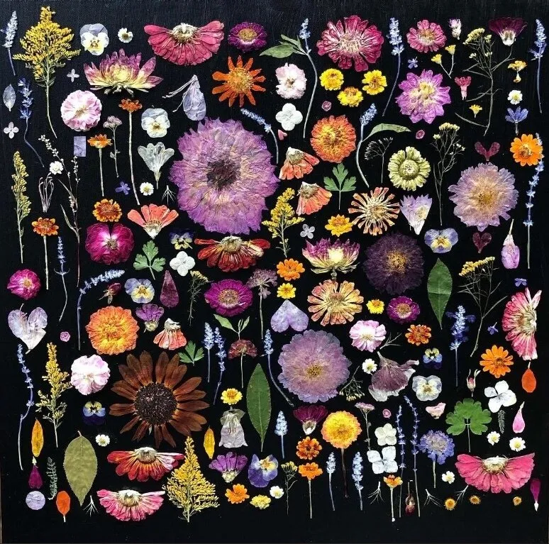 Momoffduty OnlyFans header