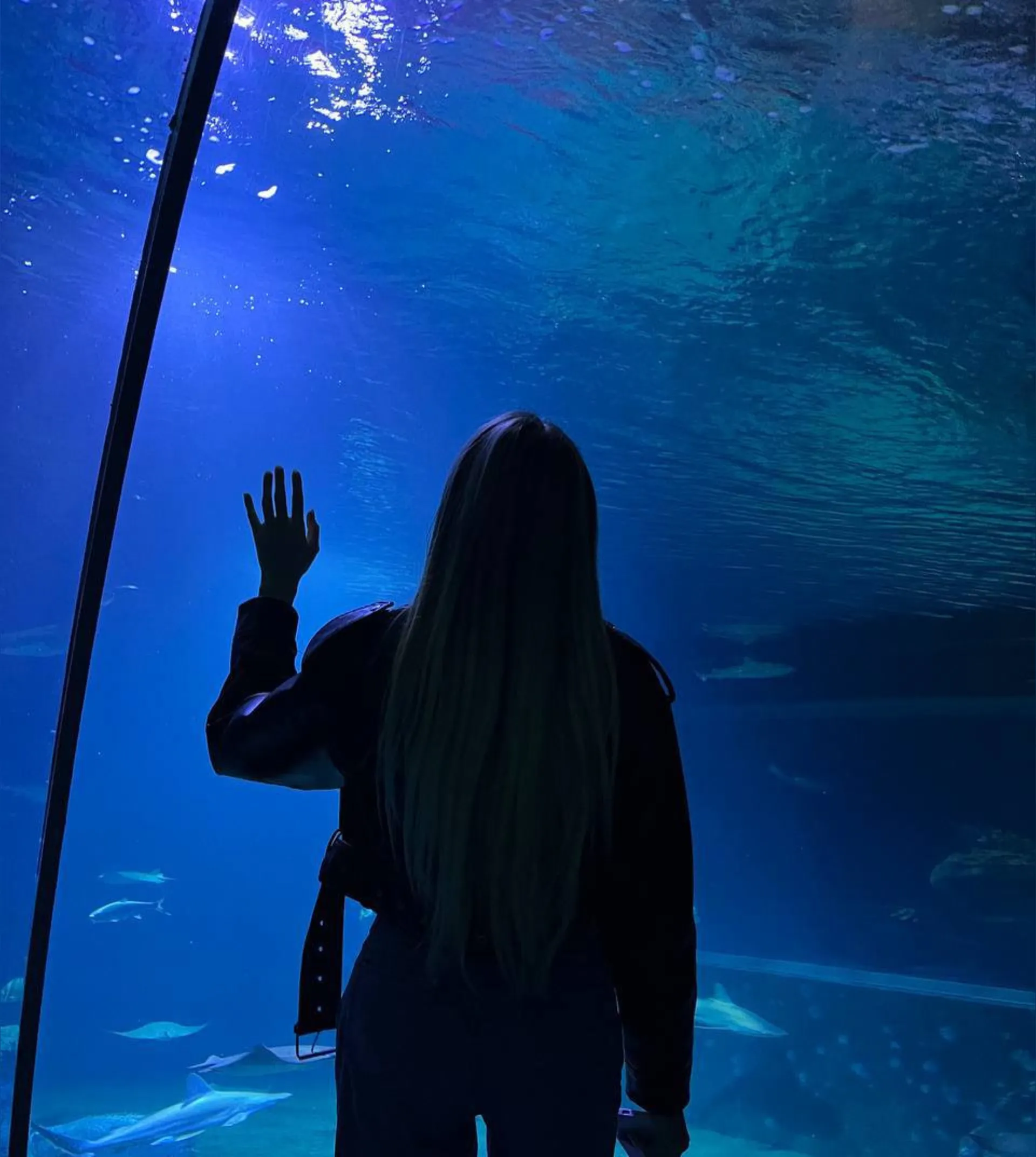 Monica🐈 OnlyFans header