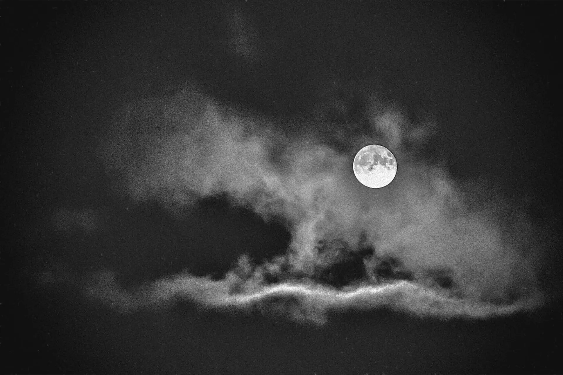 Marlee Tames OnlyFans header