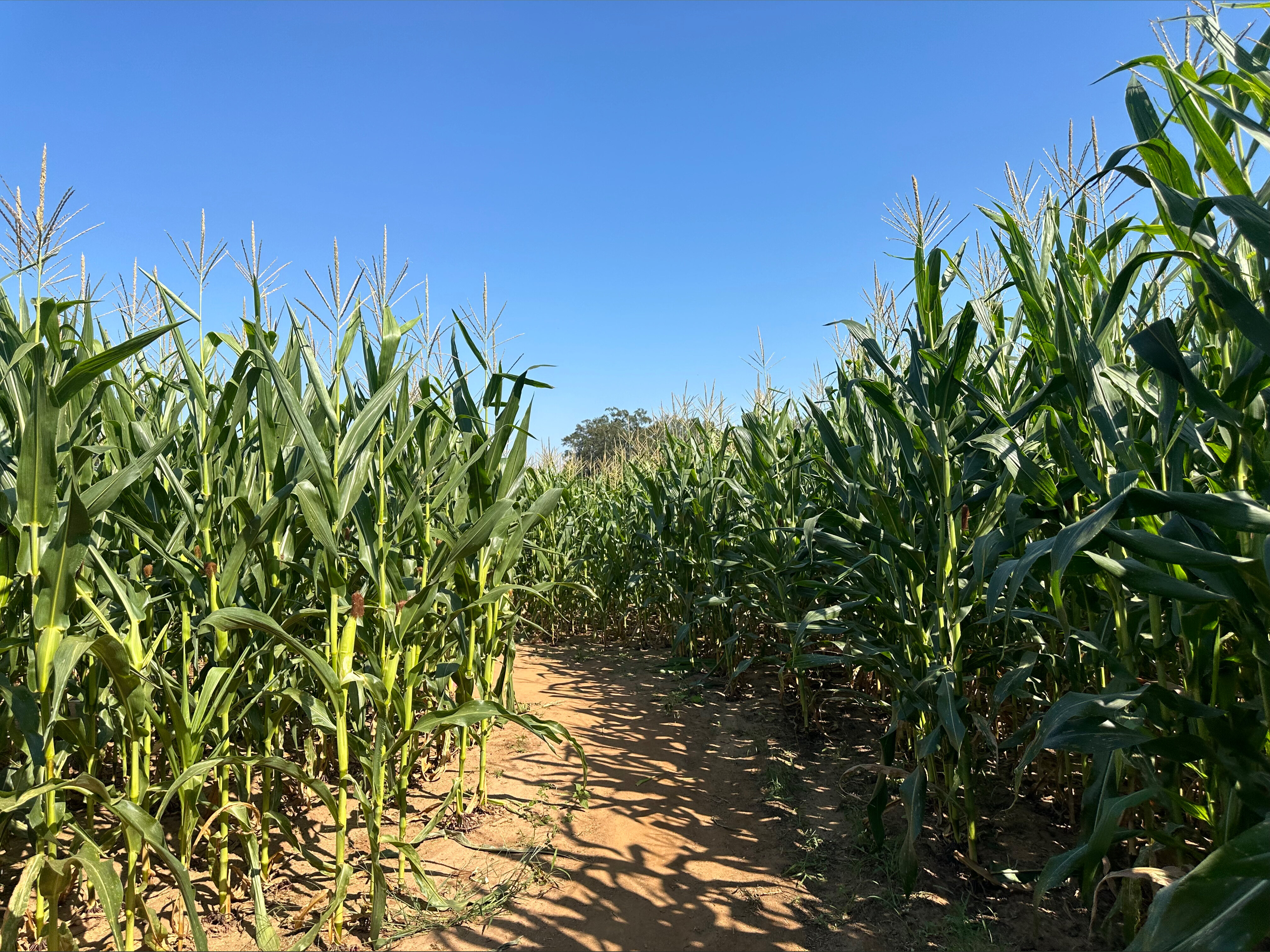 Motomom OnlyFans header