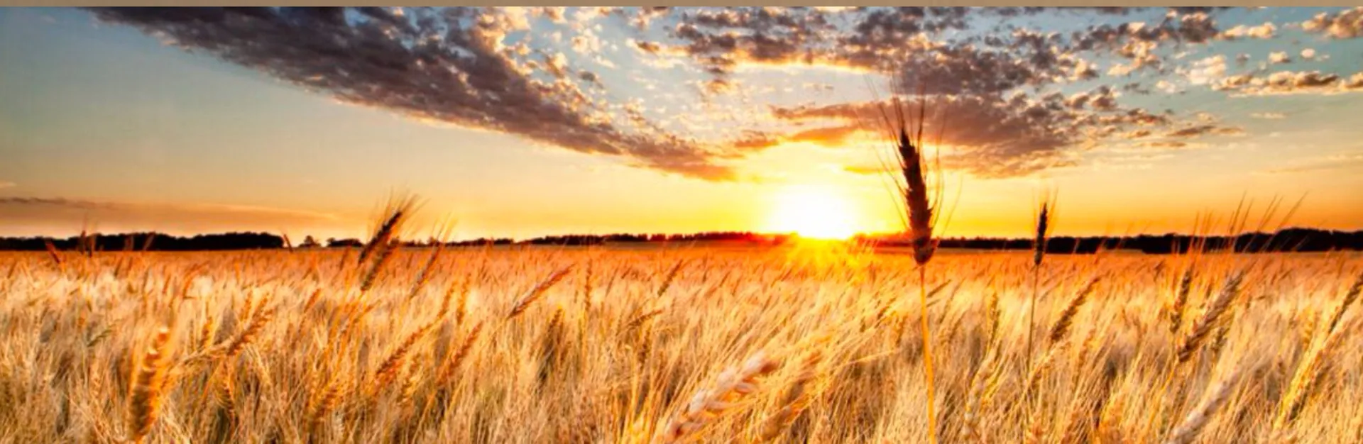 Mya Ryker OnlyFans header