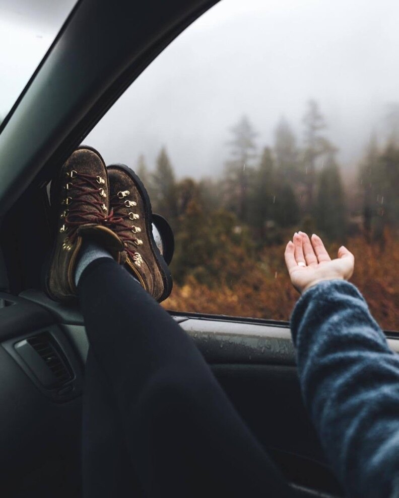 FREE OnlyFans header