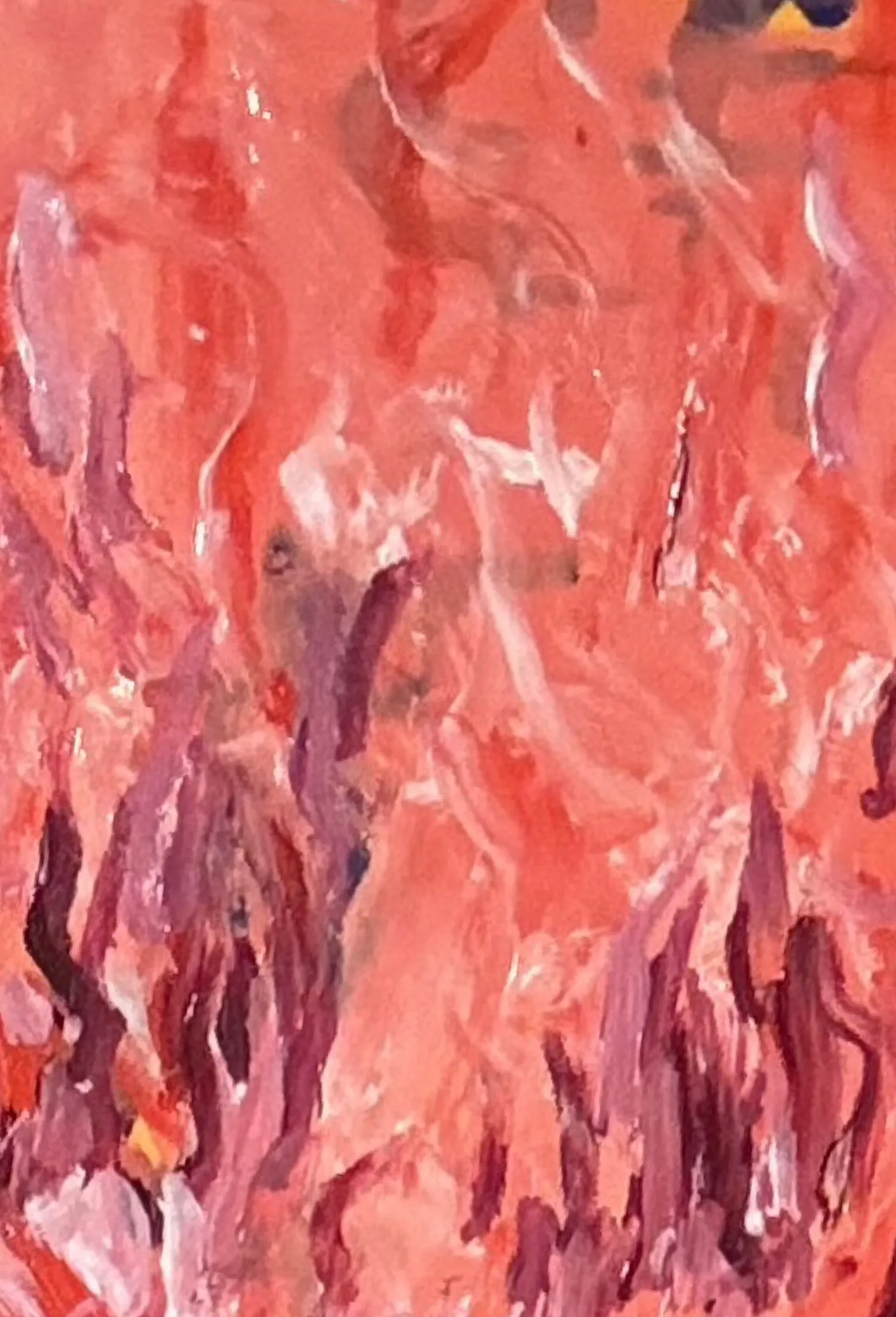 •Titcasso• OnlyFans header