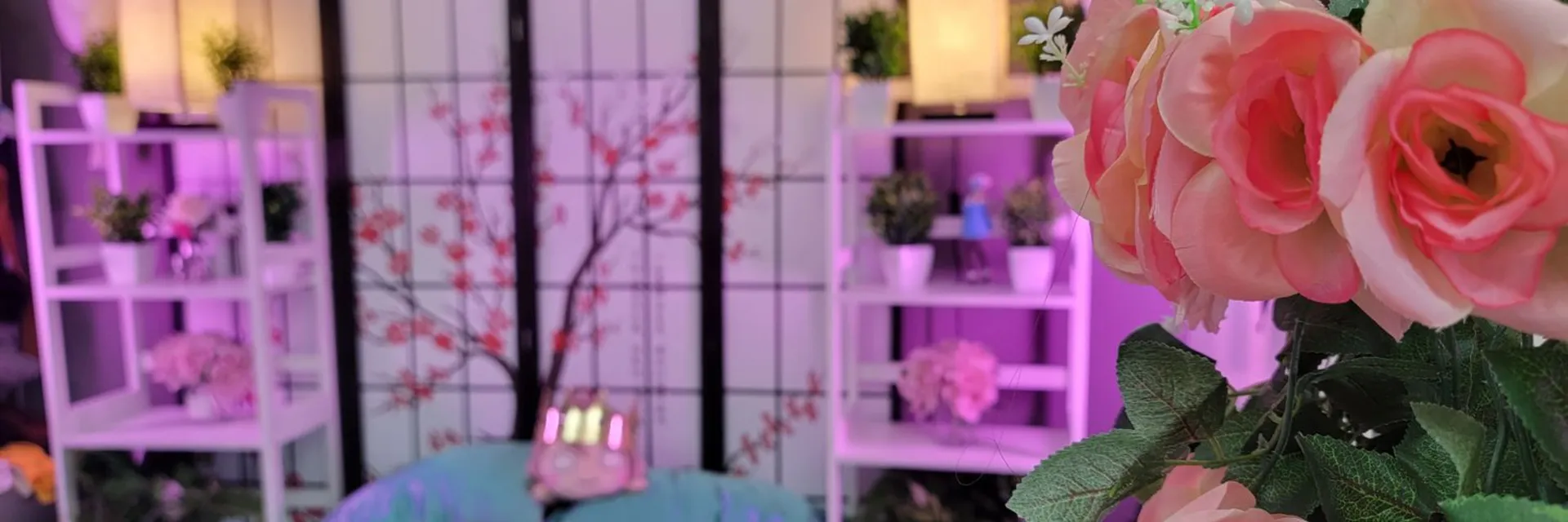 Nano_Nano ✨ #1TransGirl/Femboy Creator✨ OnlyFans header