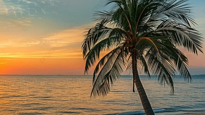 💀𝓝𝖆𝖚𝖌𝖍𝖙𝔂 𝓢𝓴𝖚𝖑𝖑💀