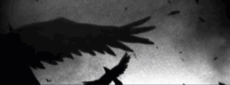 Mely OnlyFans header