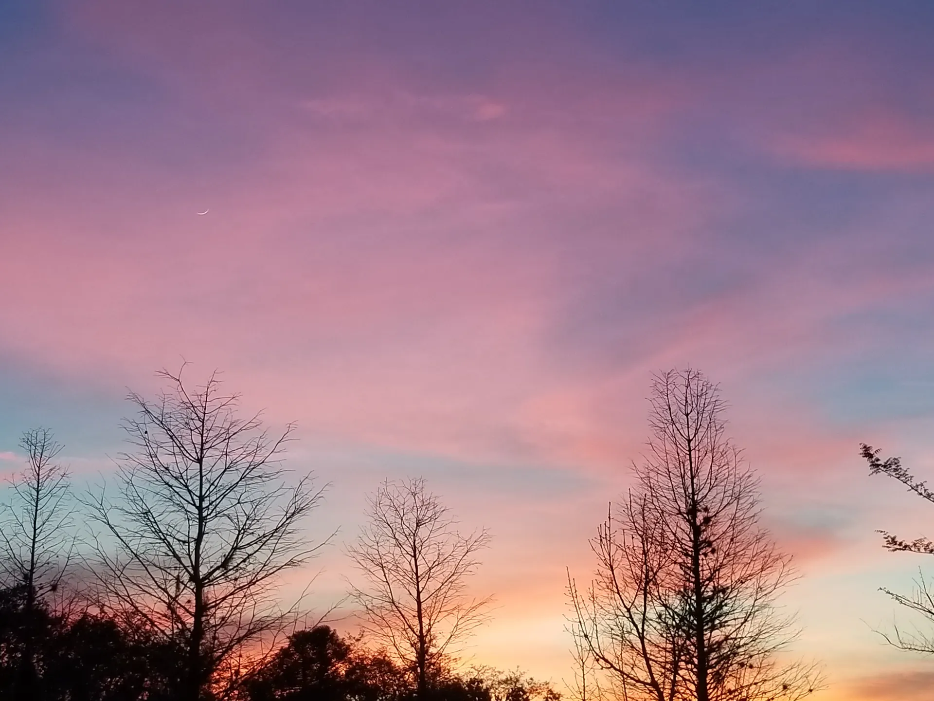 Nicole🍑 OnlyFans header