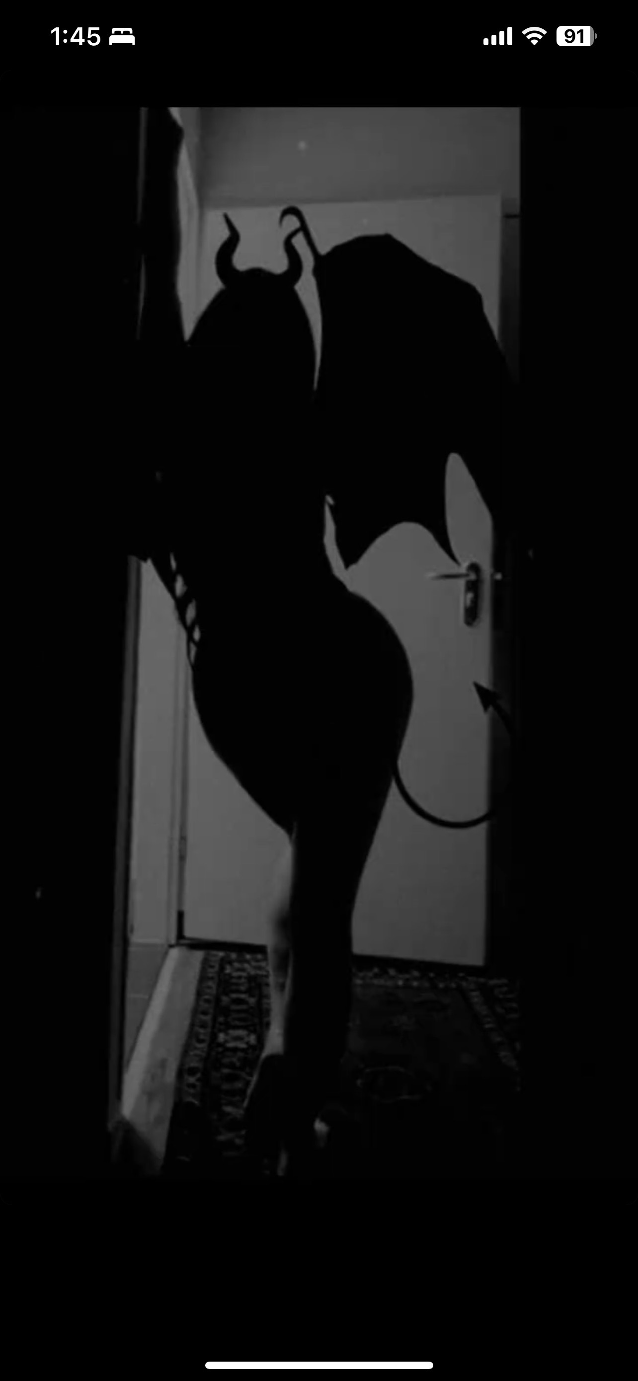 Nikki🩶 OnlyFans header