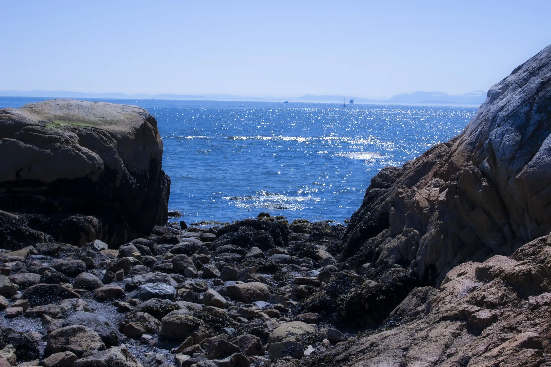 牛奶崽驾到 nnz00 OnlyFans header