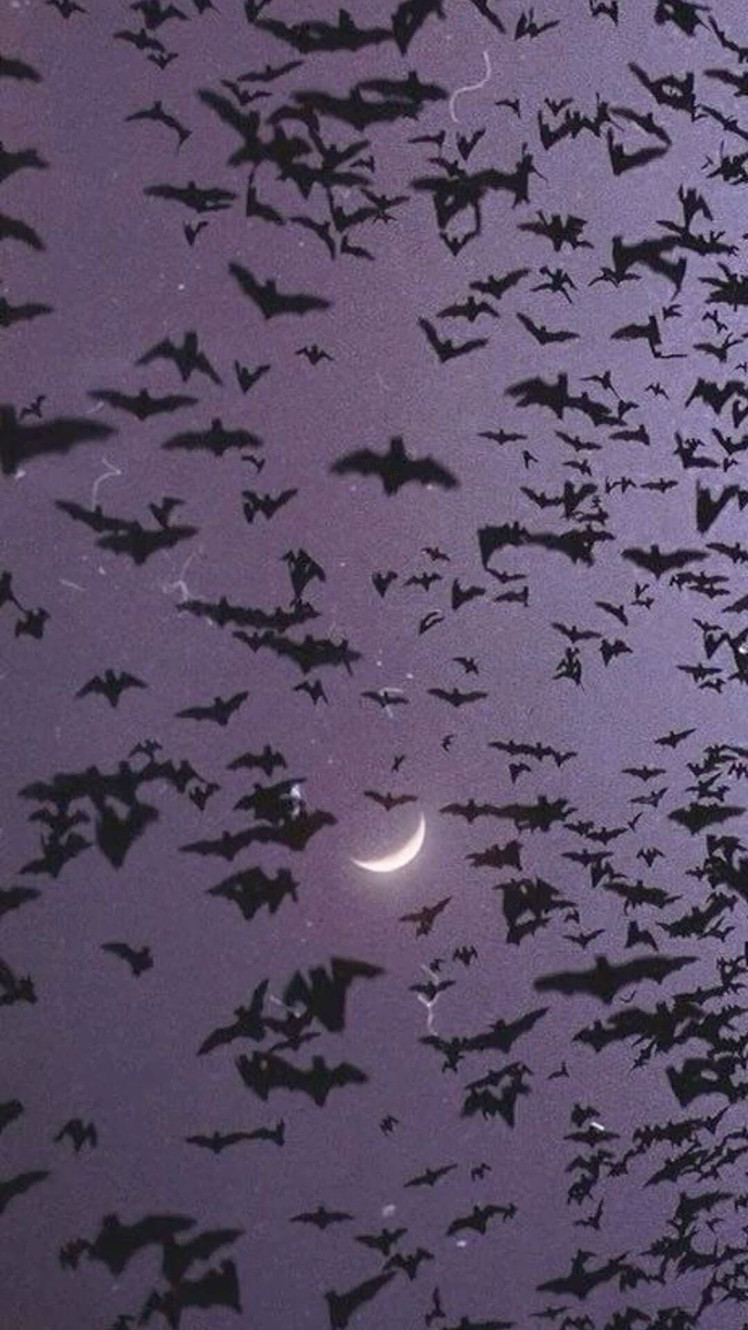 Nori🖤🪦 OnlyFans header