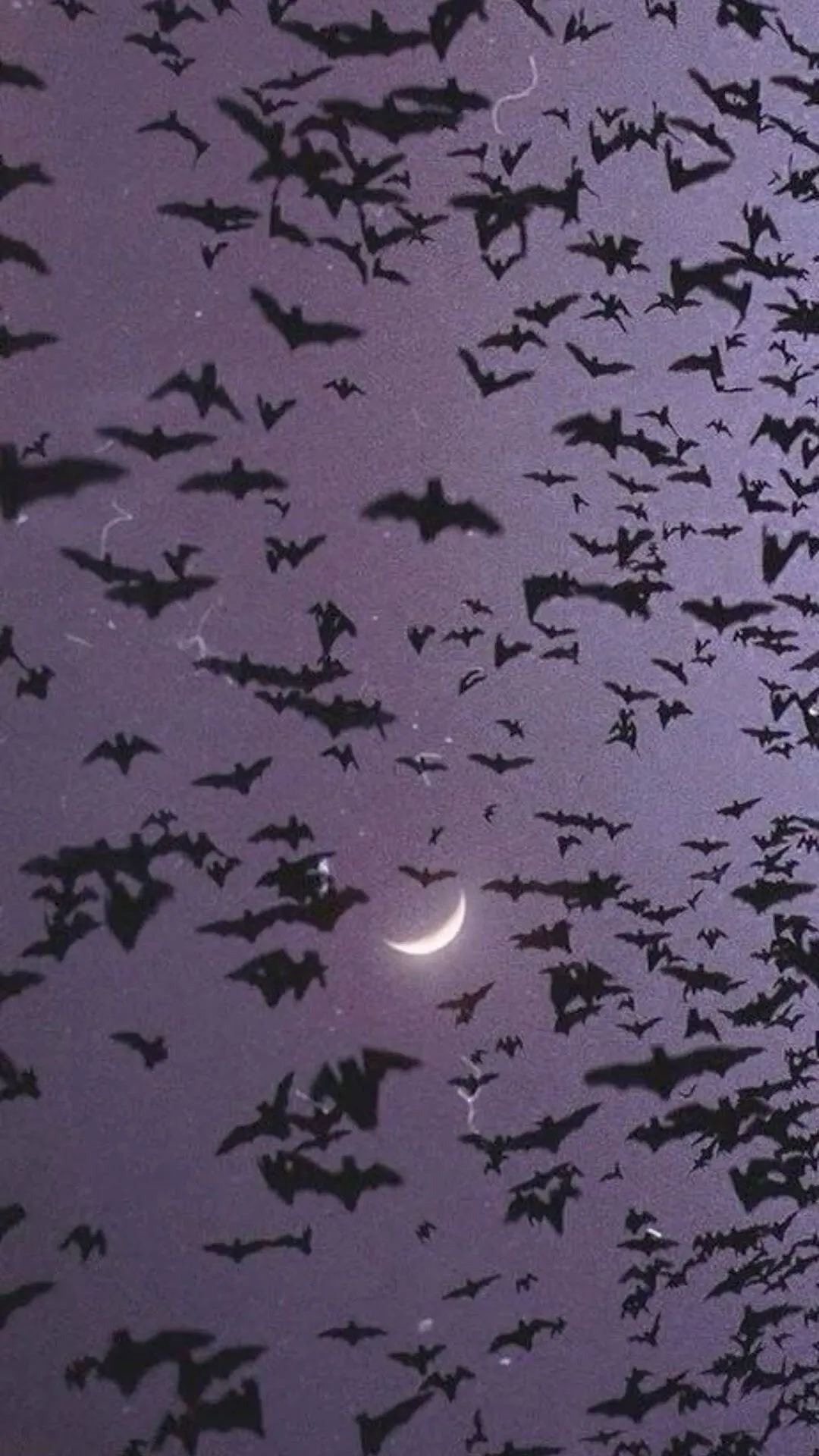 Nori🖤🪦 OnlyFans header