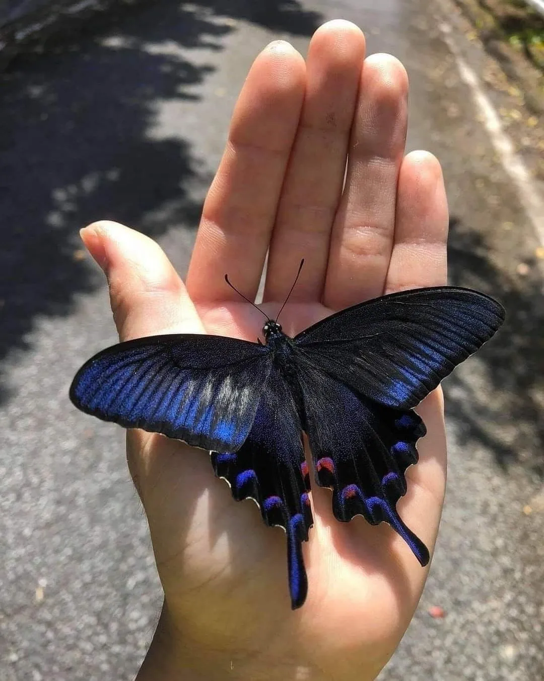 novecardoso OnlyFans header