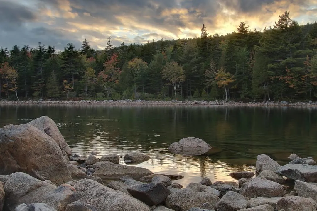 Nick OnlyFans header