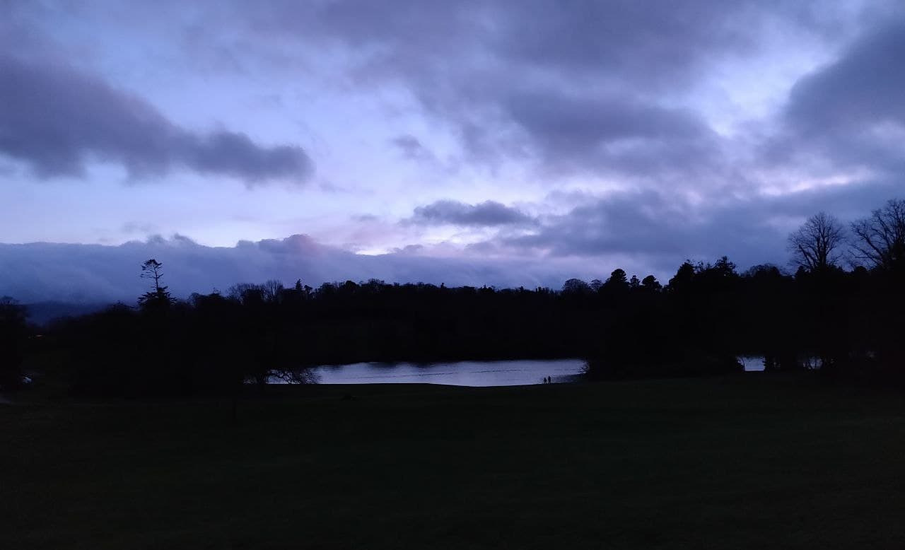 nocturnal_nymph OnlyFans header