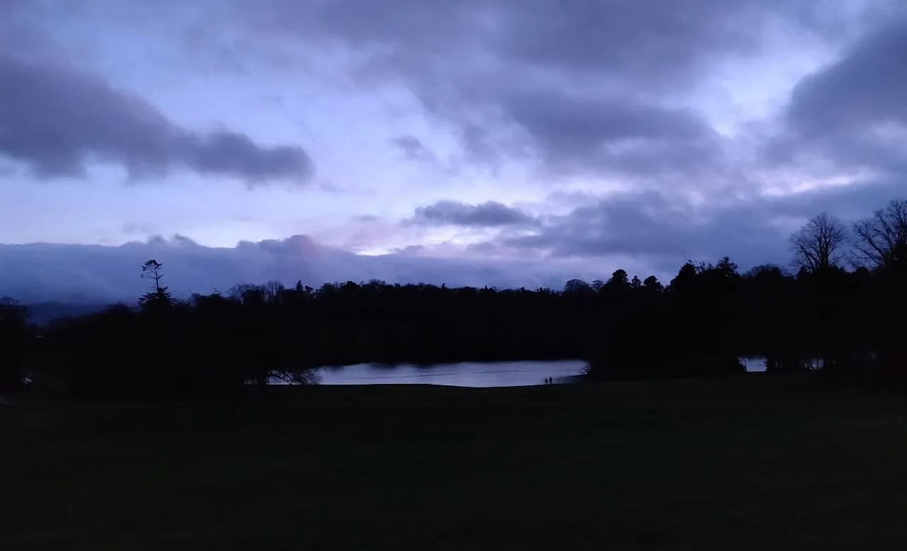 nocturnal_nymph OnlyFans header