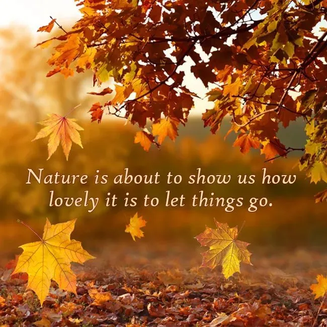 Wendy Darling OnlyFans header