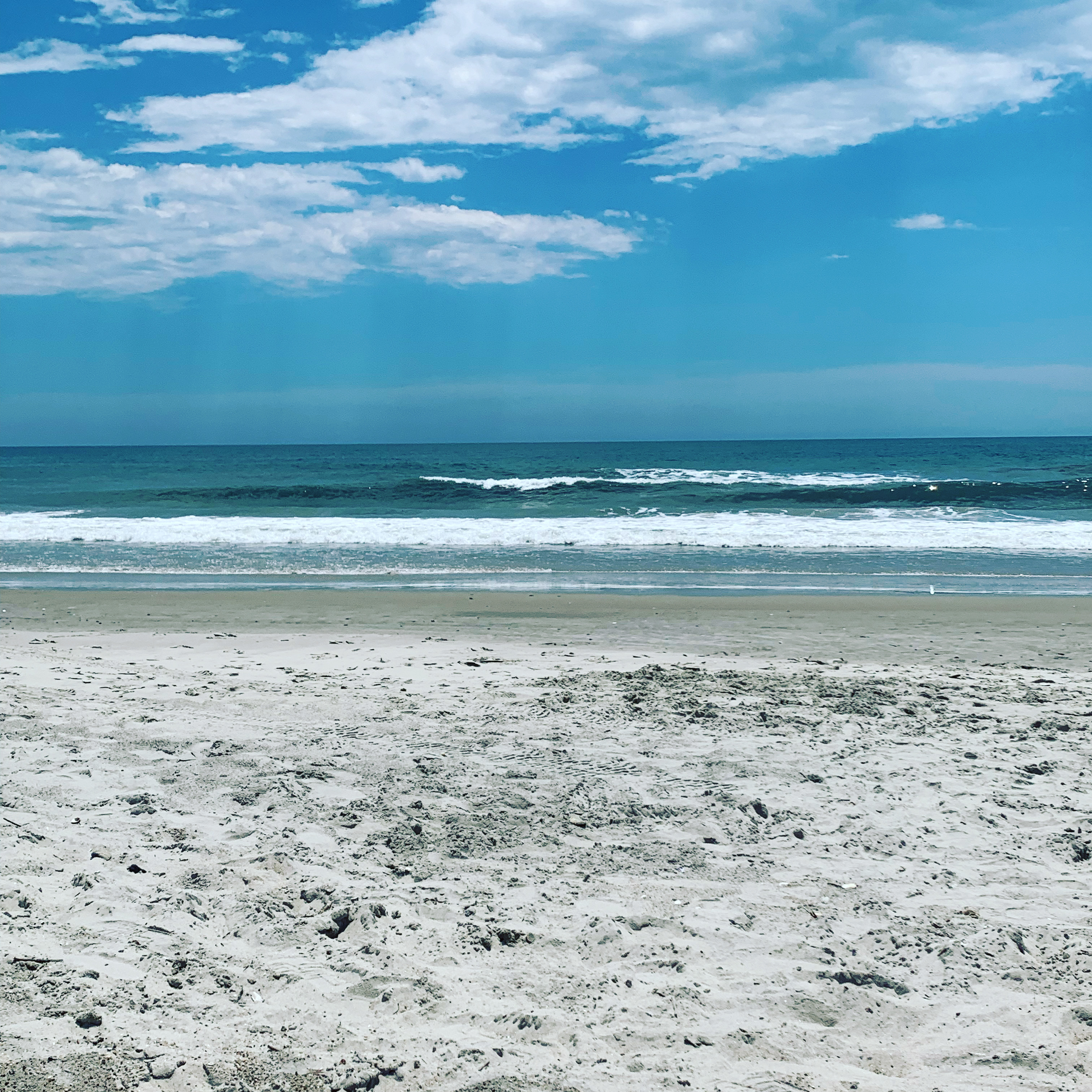 Nikki OnlyFans header