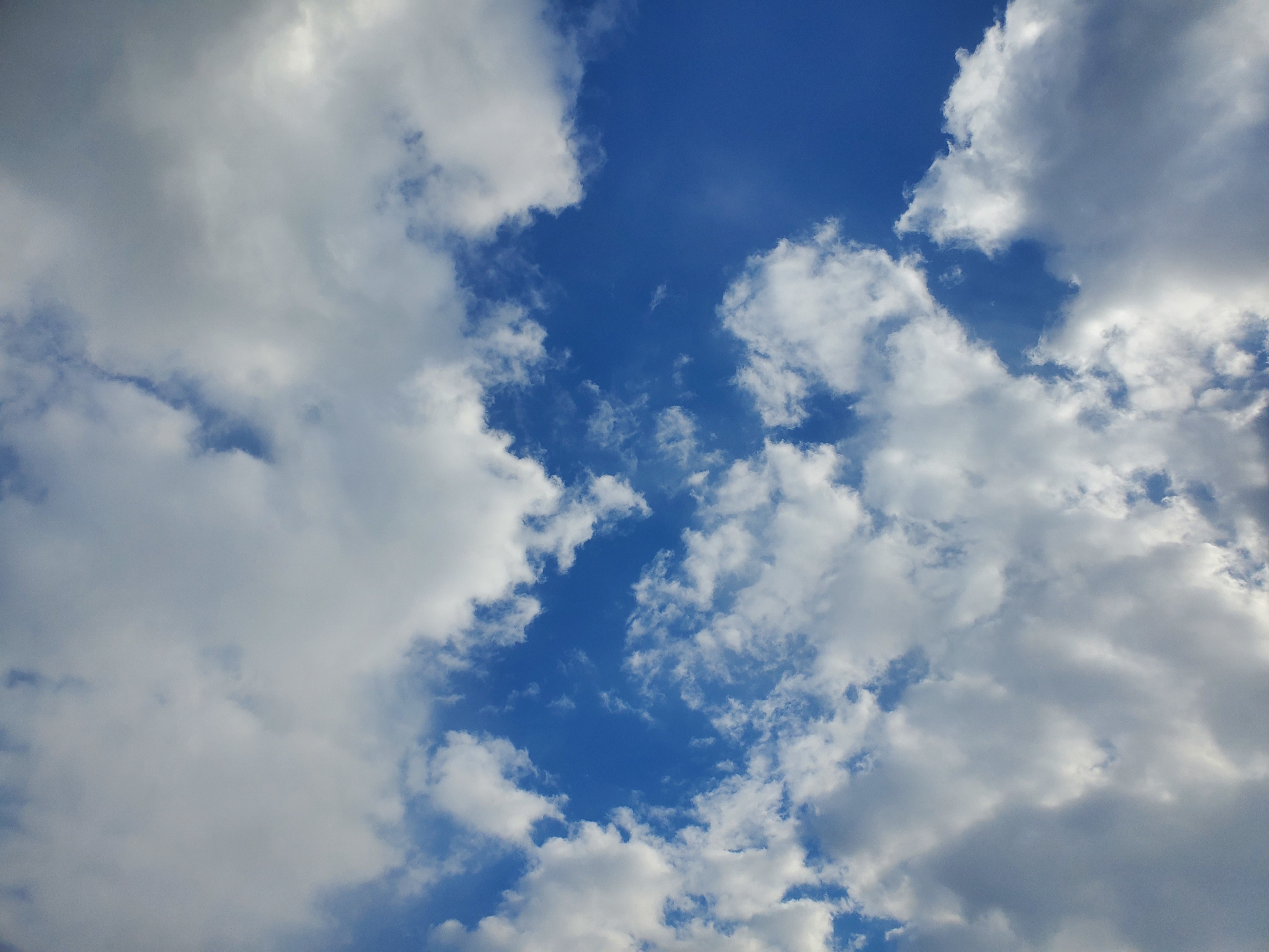 ☆oakley☆ OnlyFans header