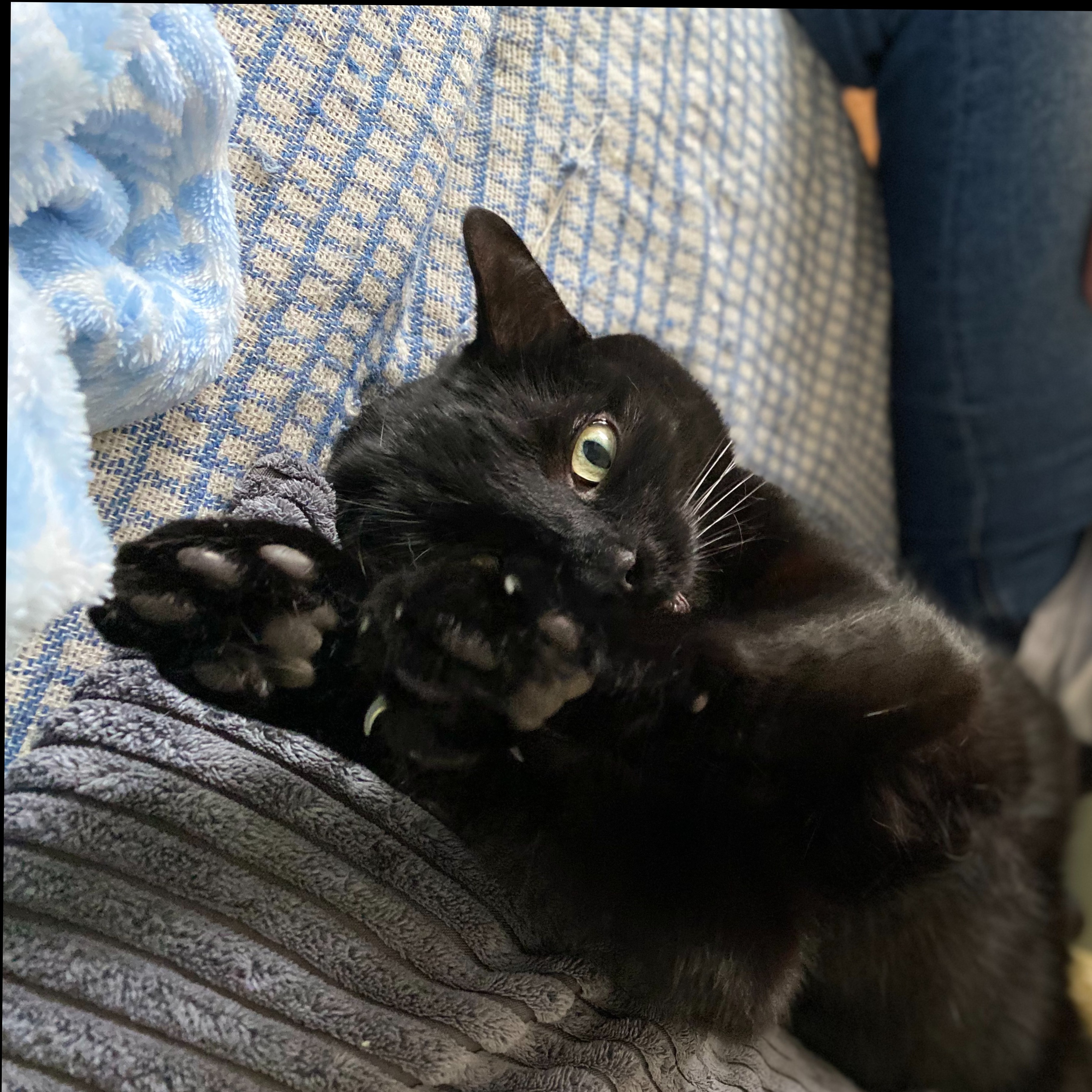 Oakley OnlyFans header