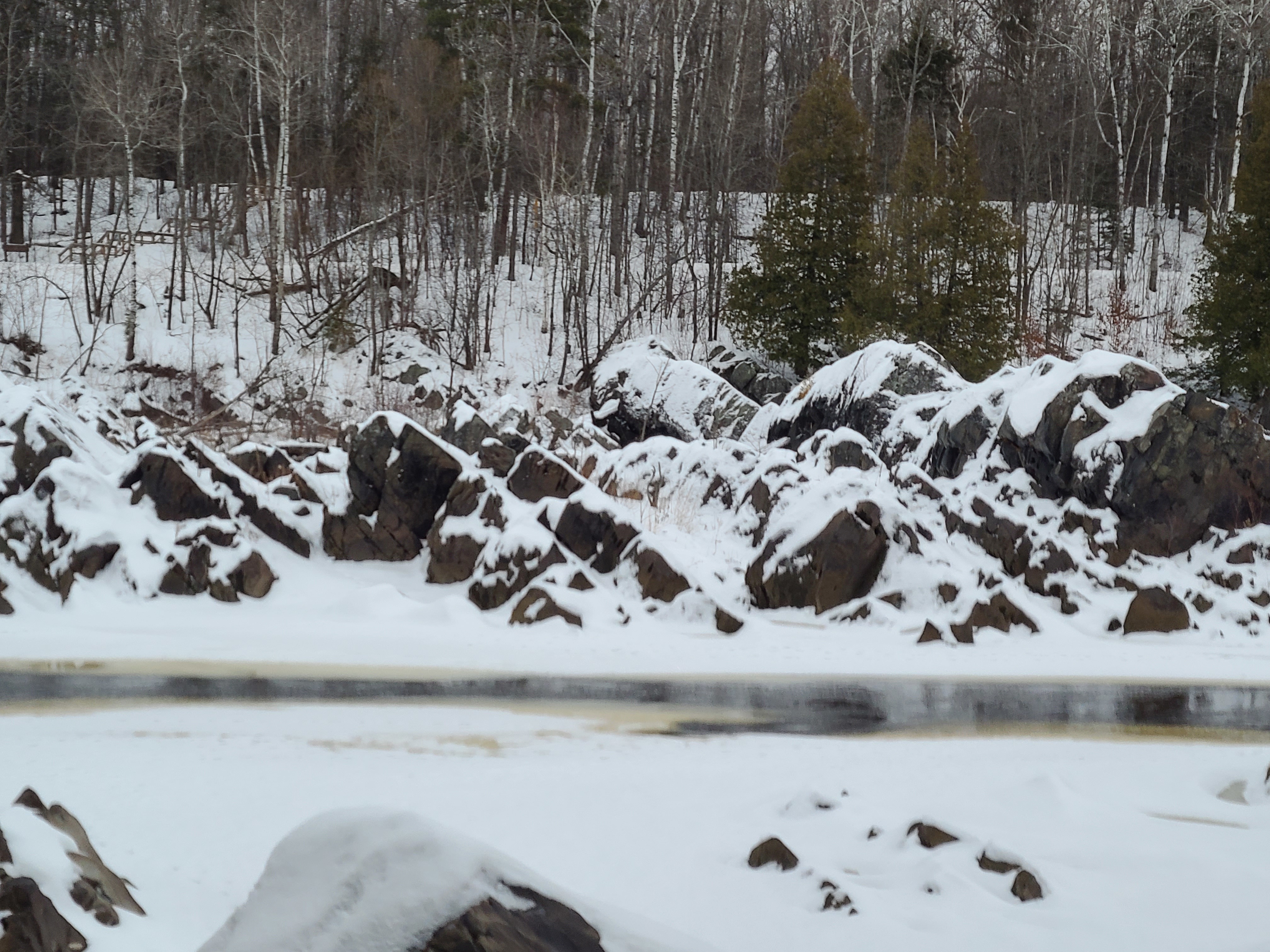 Bisko OnlyFans header