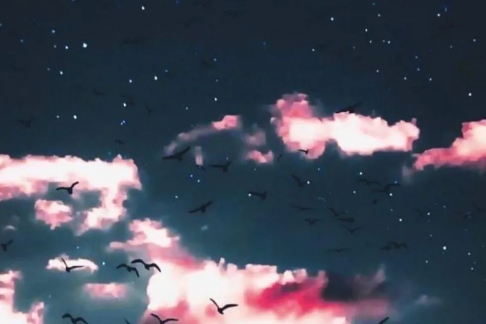 Cris OnlyFans header