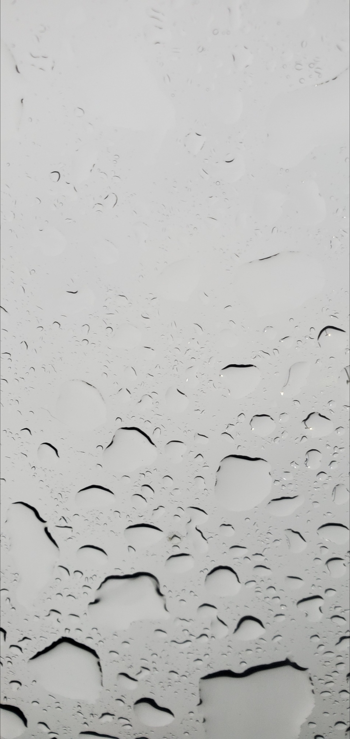 ObliviousOblivion OnlyFans header