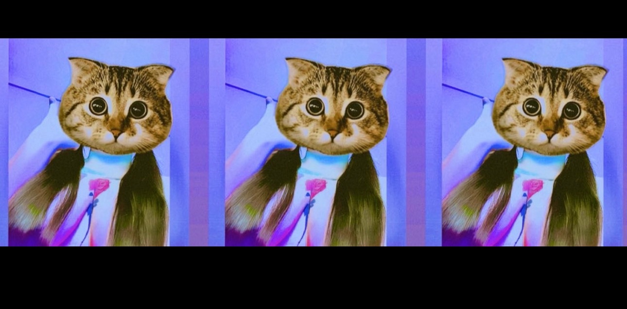 Bowl 🌹 OnlyFans header