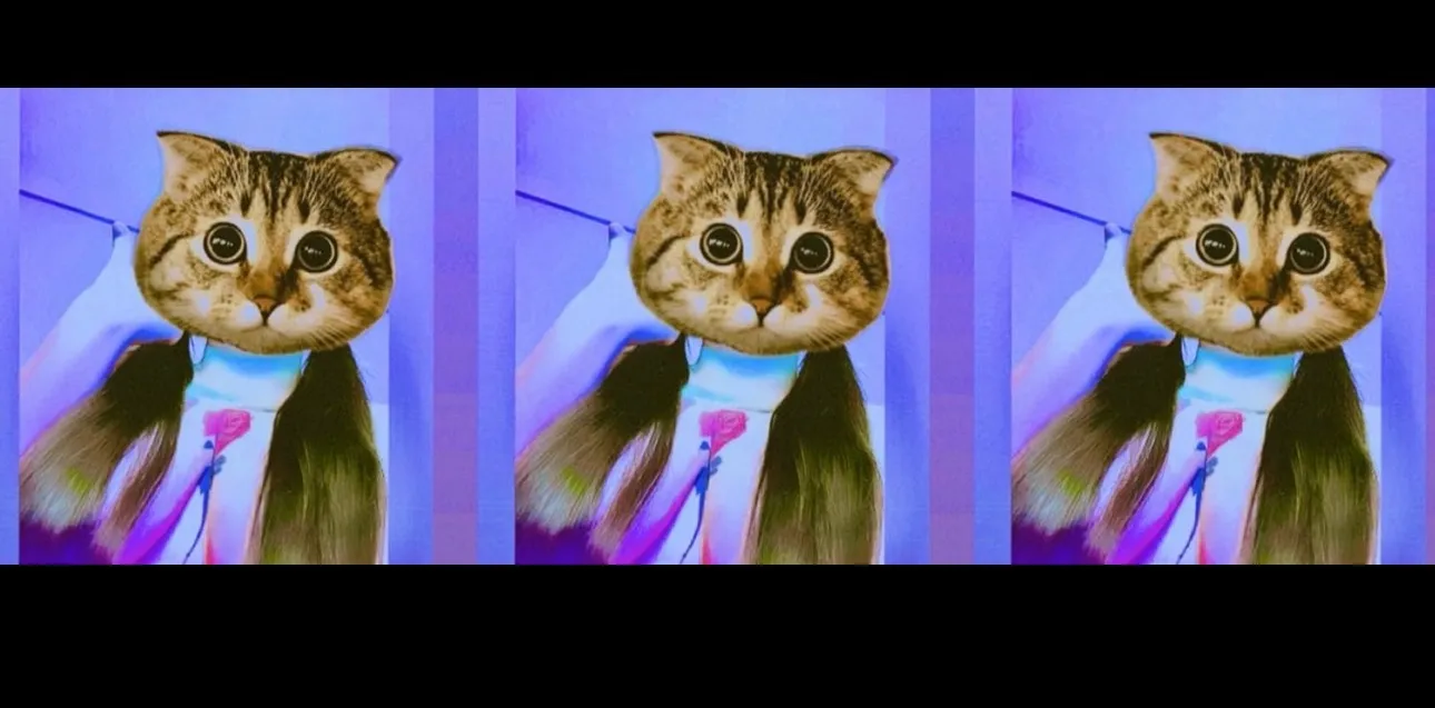 Bowl 🌹 OnlyFans header